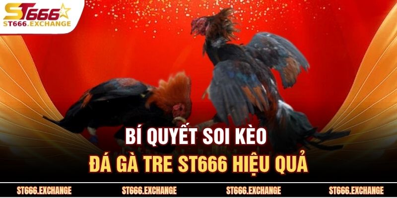 Bí quyết soi kèo đá gà tre ST666 hiệu quả