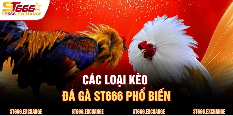 Các loại kèo đá gà ST666 phổ biến