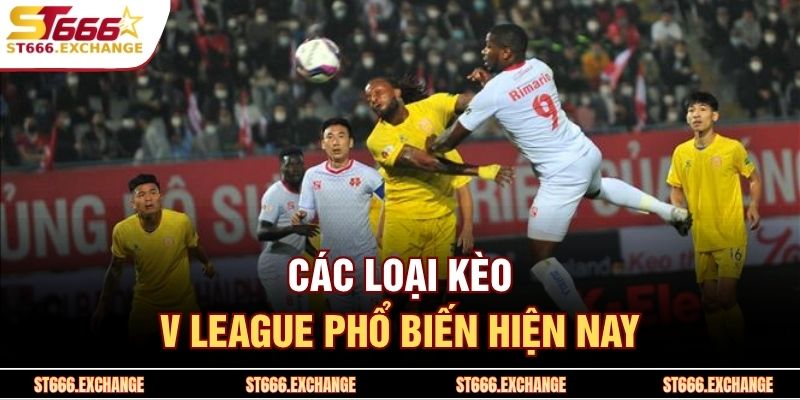 Các loại kèo V League phổ biến hiện nay 
