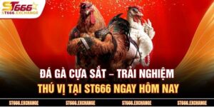 Đá Gà Cựa Sắt