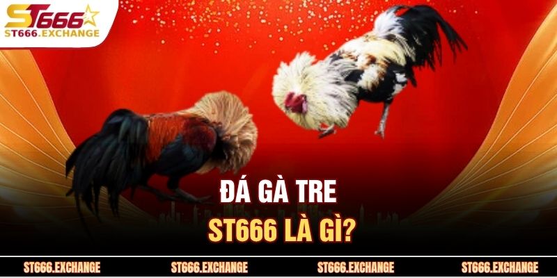 Đá gà tre ST666 là gì?