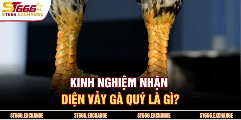 Kinh nghiệm nhận diện vảy gà quý là gì?