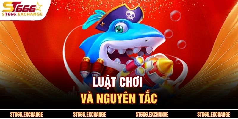 Luật chơi và nguyên tắc