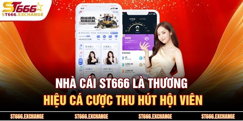 Nhà cái ST666 là thương hiệu cá cược thu hút hội viên