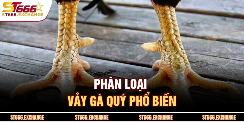 Phân loại vảy gà quý phổ biến
