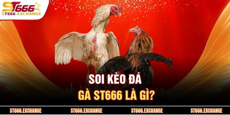 Soi kèo đá gà ST666 là gì?