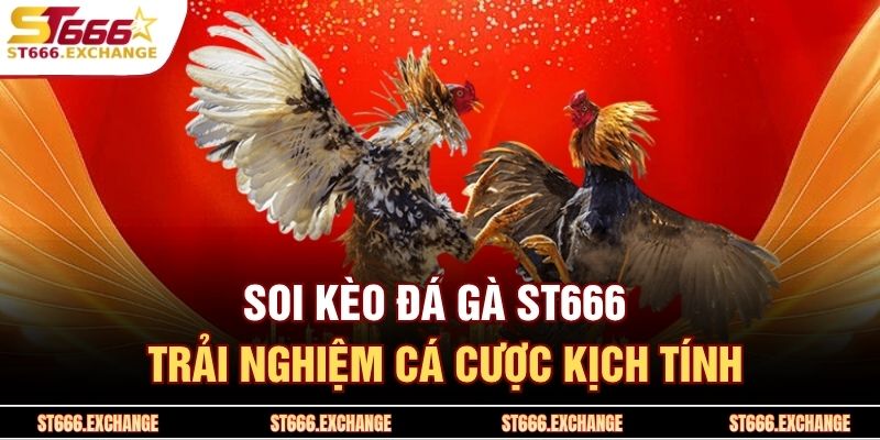 Soi Kèo Đá Gà St666