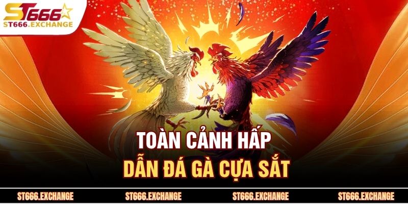 Toàn cảnh hấp dẫn đá gà cựa sắt