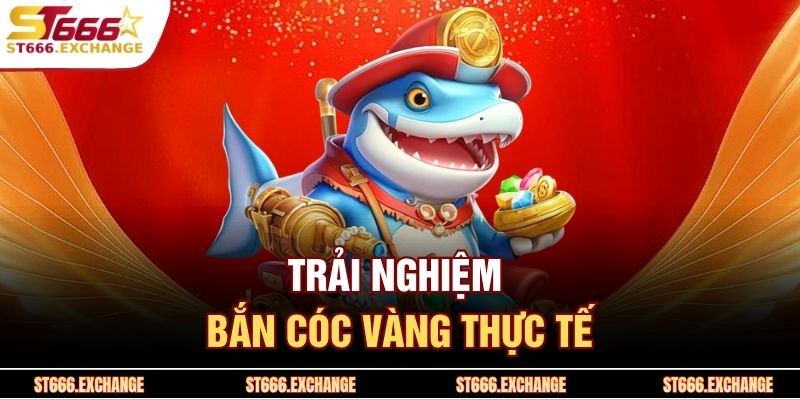 Trải nghiệm bắn cóc vàng thực tế